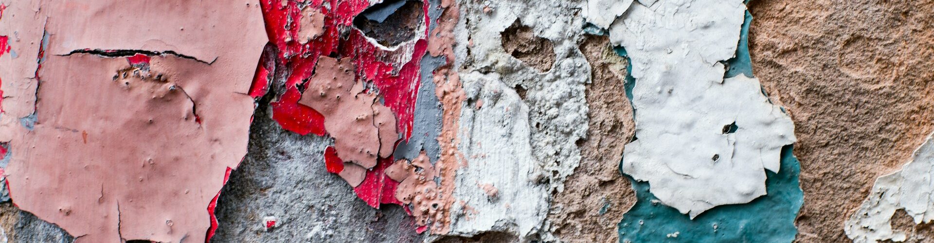 Iniziativa distrettuale “Legalità e Cultura dell’Etica”, XV Edizione