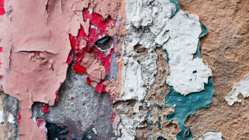 Iniziativa distrettuale “Legalità e Cultura dell’Etica”, XV Edizione